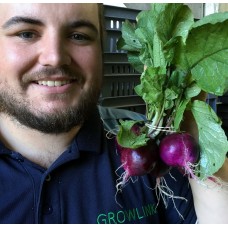 ORGANIC RED RADISHES  Bunch Of 5  Katikati Grown